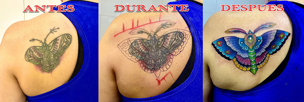 cover_new_05